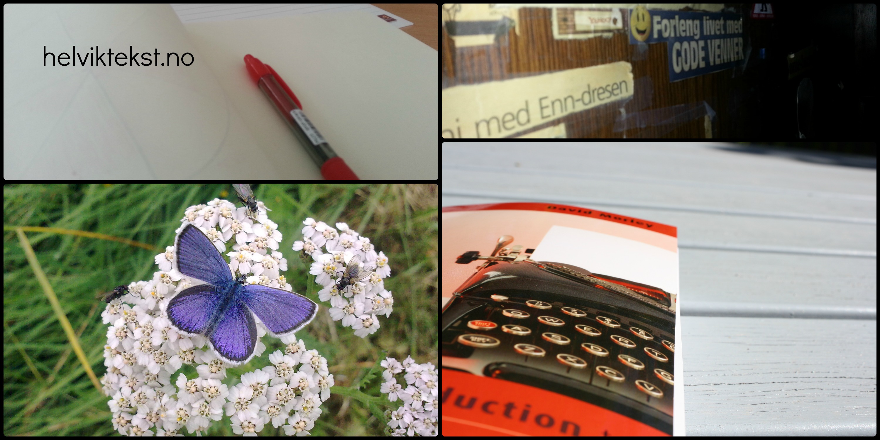 Raud penn, vegg med avisutklypp, sommarfugl og bok med bilete av skrivemaskin.
