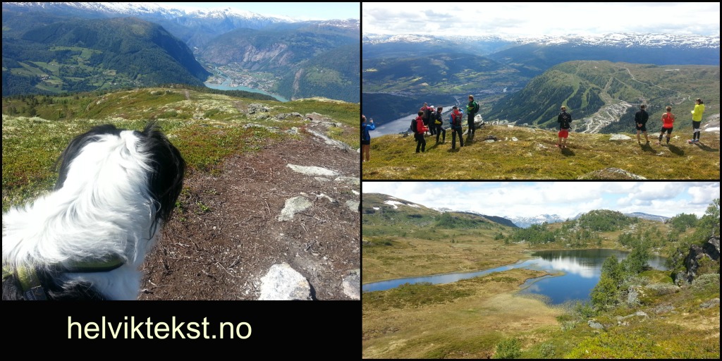 Bilete 1: EIn hund som ser nedover ein fjellsti, bilete 2: Deltakarar som står og snakkar på ein fjelltopp, utsyn over ei bygd, bilete 3: Eit fjellvatn ein sommars dag.