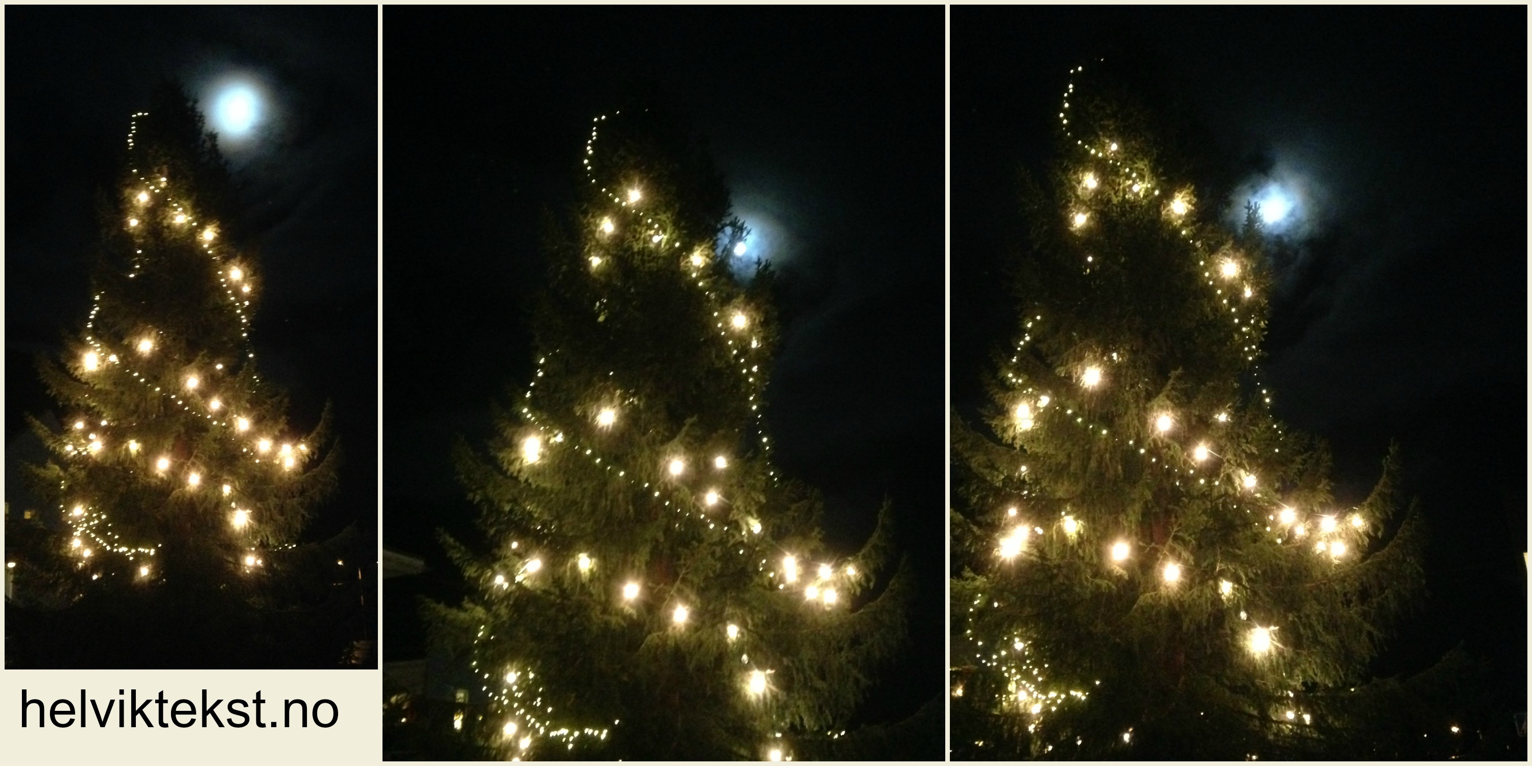 Tre bilete av det same juletreet, opplyst av måneskinet (månen er bakom treet).