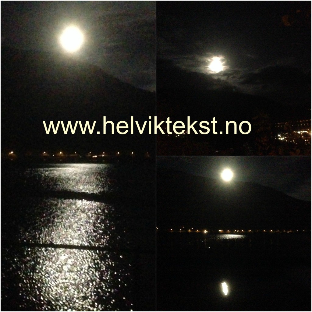 Bilete av fullmånen som blant anna speglar seg i Sognefjorden.