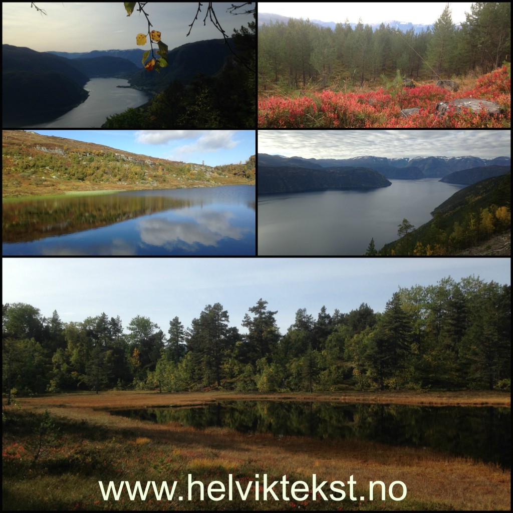 Haustbilete av Sognefjorden, av skog og av fjellvatn.